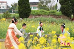 马斯克点赞重庆油菜花海